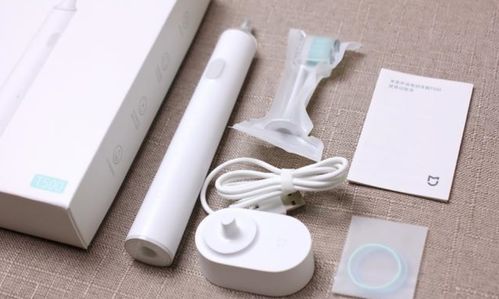 電動(dòng)牙刷哪個(gè)牌子好 五大全新性?xún)r(jià)比電動(dòng)牙刷排行與智能電動(dòng)行李箱淺析