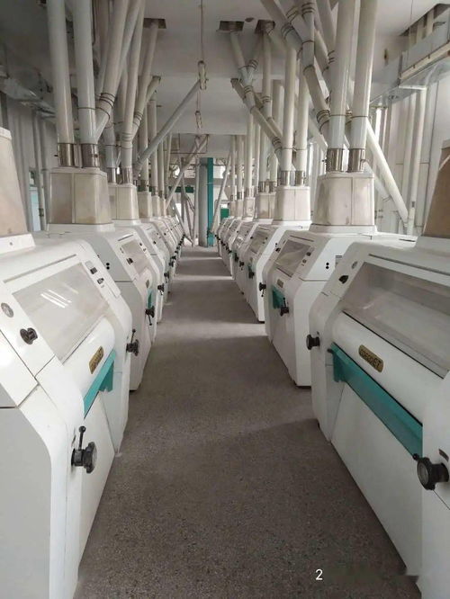 攜手共贏 共創輝煌——梁山縣新豐面粉廠誠招全國化妝品批發經銷商
